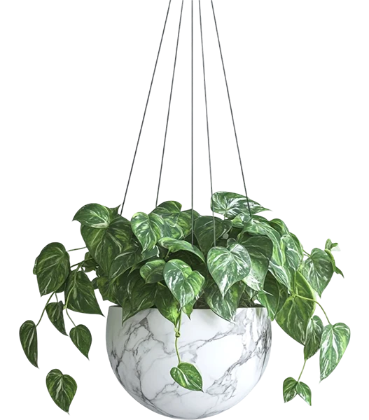 Decorative plant (Demo)