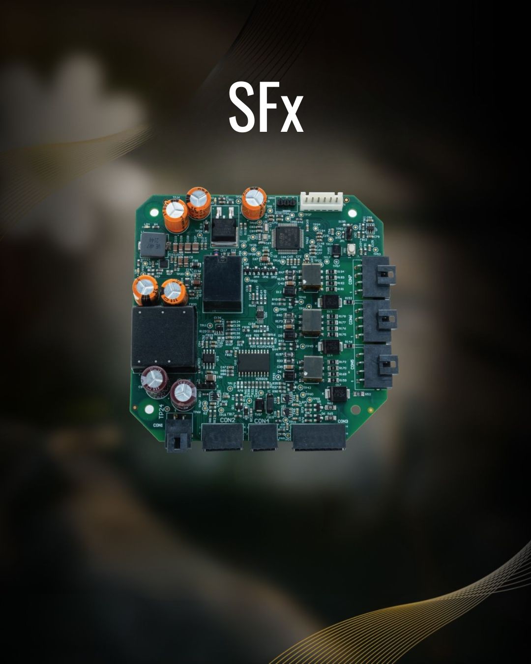 31